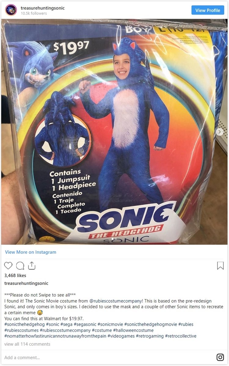 Sonic Costume